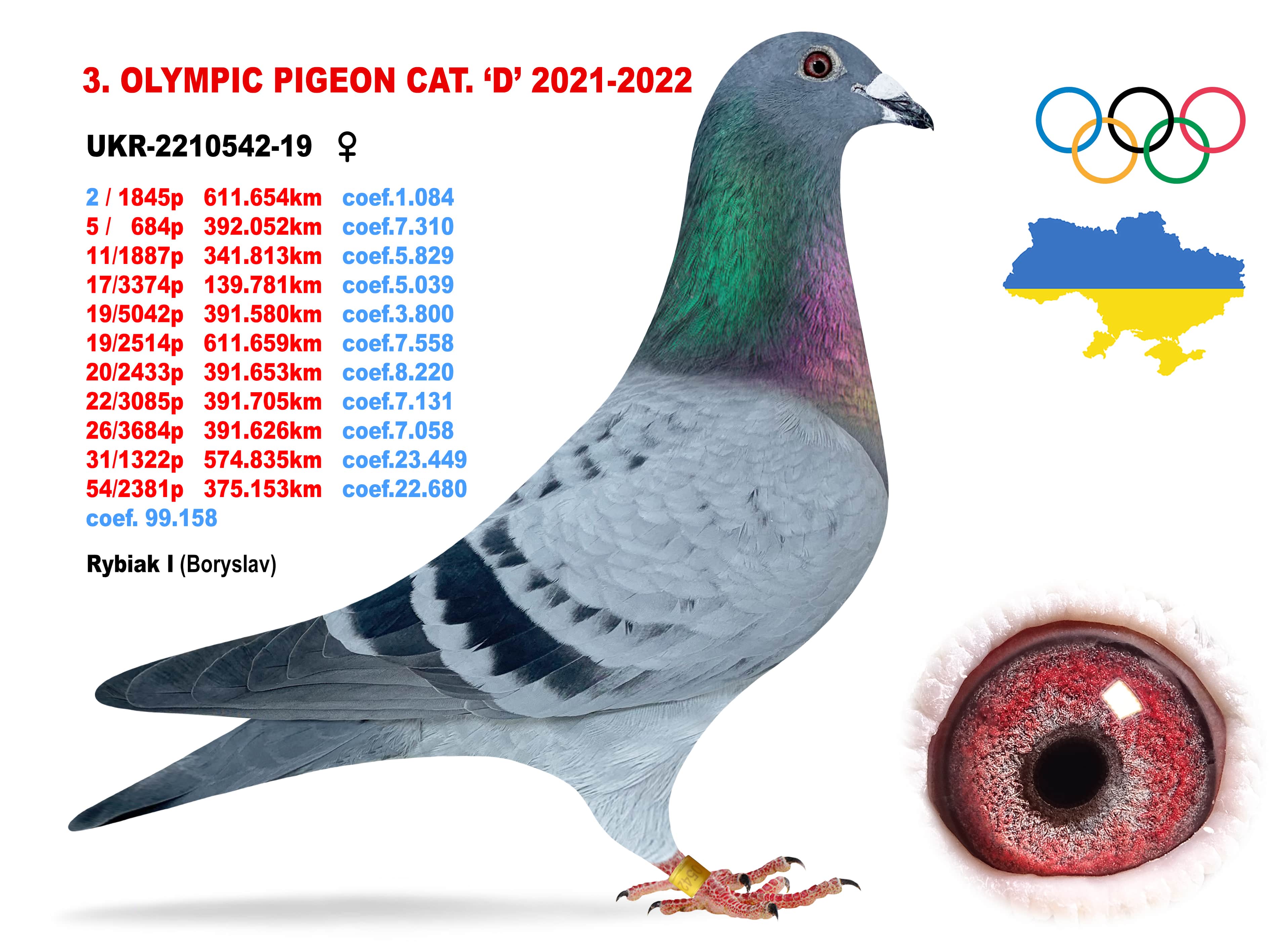 2022-D3
